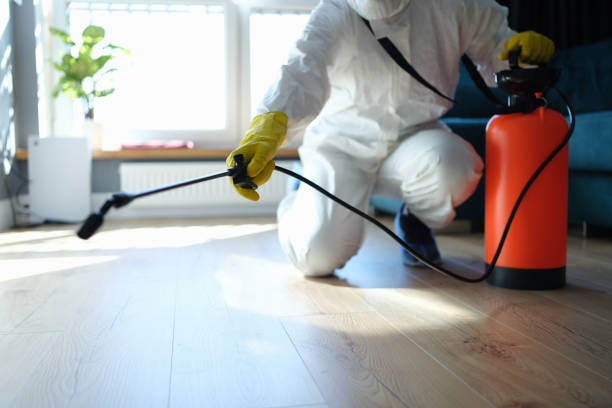 Reliable Sewage Cleanup contractor in Highlands, NC by Trauma Clean Pros